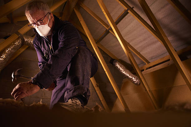Best Insulation Removal  in Rockville Centre, NY